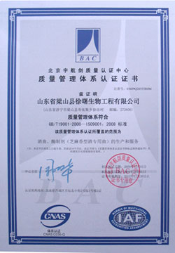 热烈祝贺我公司顺利通过GB/T19001-2008-ISO9001:2008标